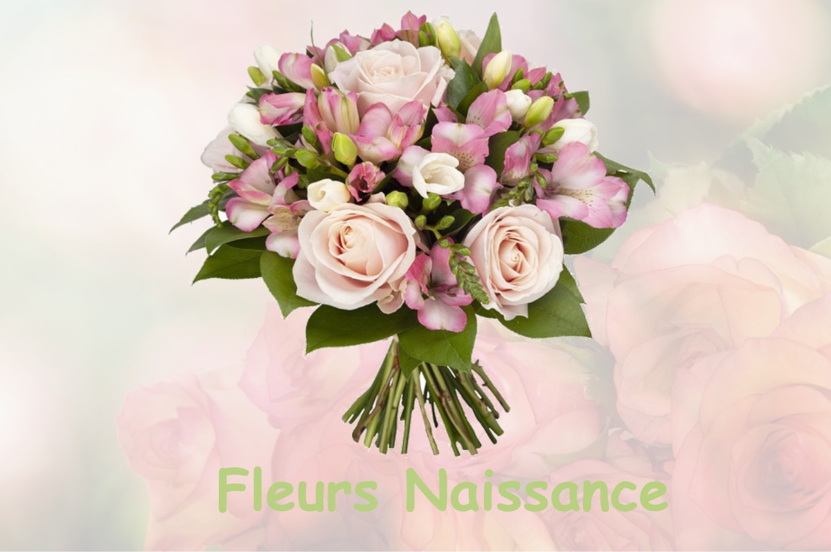 fleurs naissance CESNY-BOIS-HALBOUT