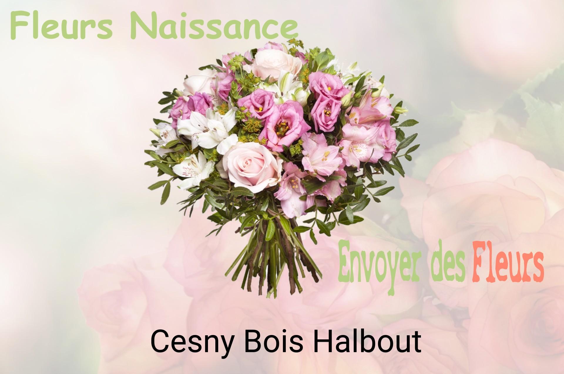 Bouquet de fleurs de naissance livré à Cesny-Bois-Halbout