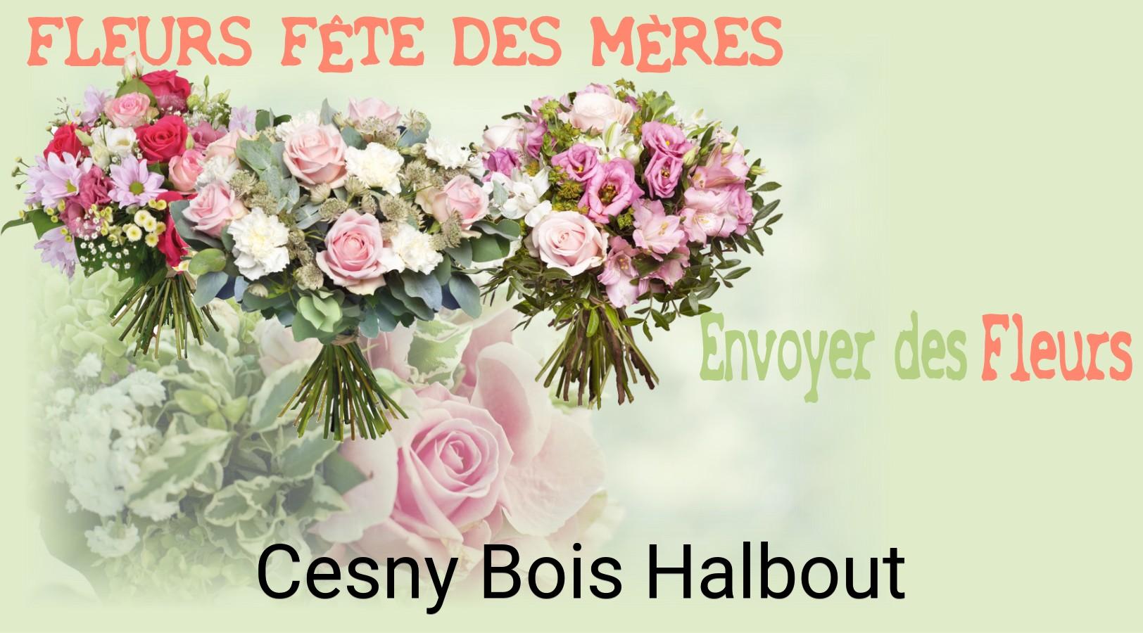Bouquet de Fête des Mères livré à Cesny-Bois-Halbout